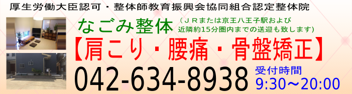 八王子 整体 痛み症状快楽 整体院【なごみ整体】肩こり・腰痛・産後の骨盤矯正 オリジナルサイト 八王子 整体 痛み症状快楽 整体院【なごみ整体】肩こり・腰痛・産後の骨盤矯正 オリジナルサイト